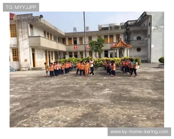2026年游泳训练科研联盟发布青少年专项体能监测工具V16，游泳比赛体能测试